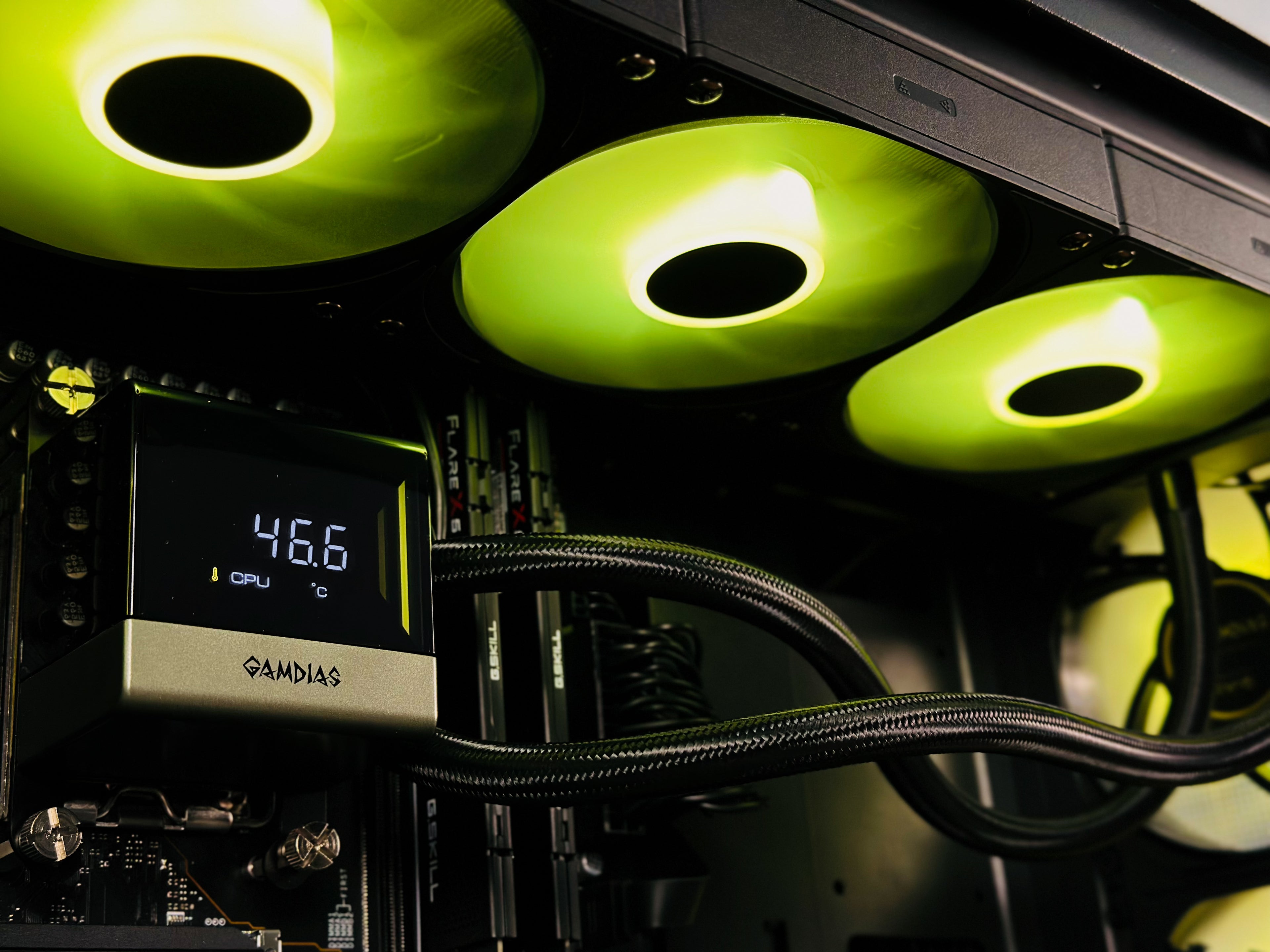 Verdant